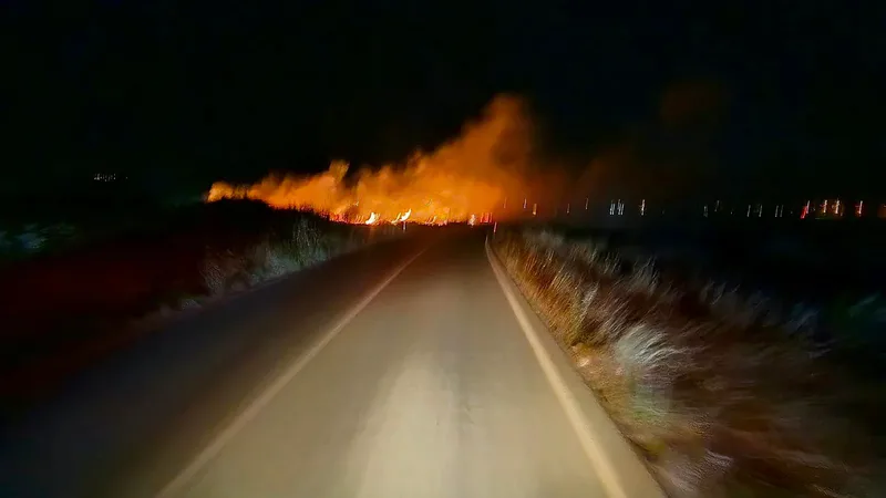 Balıkesir'in turizm ilçesi Edremit'te, Orjan Sitesi'ne yakın sazlık alanda gece