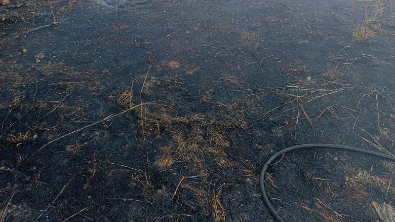 Balıkesir'in Erdek ilçesine bağlı Narlı Mahallesi Beşevler mevkiinde çıkan otluk