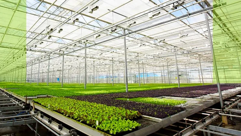 Balıkesir Gönen'deki yaklaşık 1,7 milyar TL tutarındaki altyapı ve elektrik