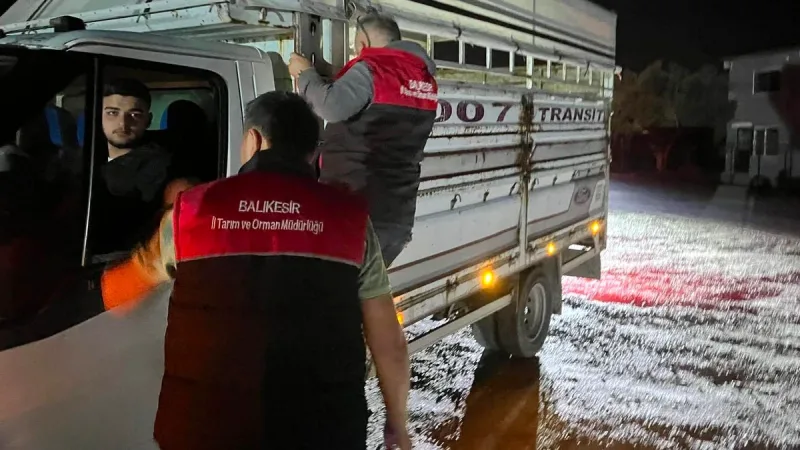 Balıkesir İl Tarım ve Orman Müdürlüğü, hayvan pazarlarında nakil, sevk,