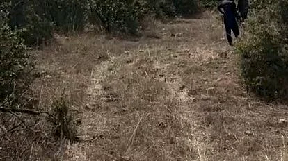 Balıkesir'in Savaştepe ilçesine bağlı Dikmeler Mahallesi civarında çıkan orman yangını,